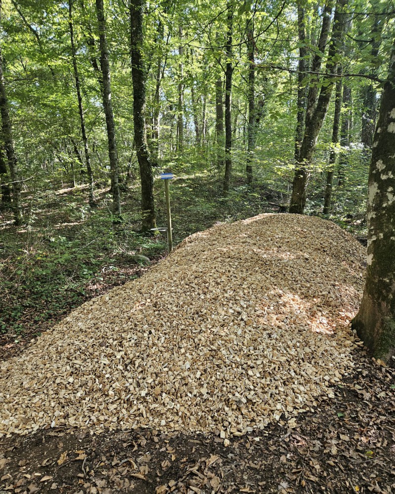 L’entretien constant du parcours Vita