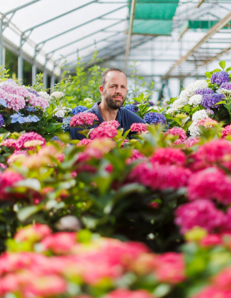Jaggi Fleurs: une rêverie constante